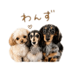 nana_20260502142612