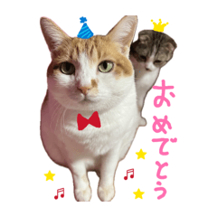 nagisa_20260502142441