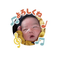 yui_20260502142514