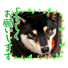 sato_20260502142518