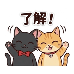 COTTON_20260502142829