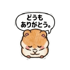 CHOCO_20260503084340
