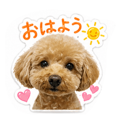 hidamari_20260503085850