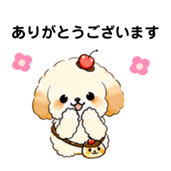 atton_20260503085638