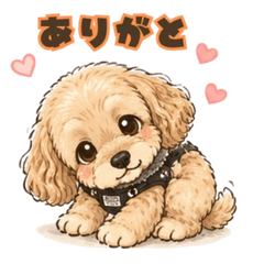My Cockapoo Roshu