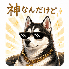 Cool Summer Husky Vibes