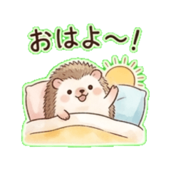 Daily Chat Stickers hedgehog