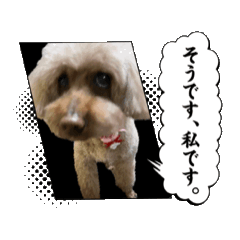 kon_20260503214955