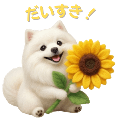 Wool Felt Spitz Flowers Gentle Feelings