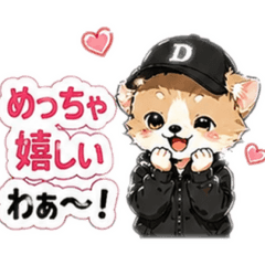 Yon love_20260427011127