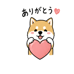 Shibaimu everyday