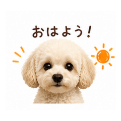 Kawaii Fluffy Poodle Stickers