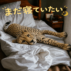 (毎日)都会疲れを癒しに来たsafariのチ-タ-