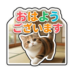 Real Munchkin Polite Communication