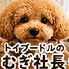 President Mugi the Toy Poodle