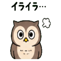 Owl Janapnese Greeting 01