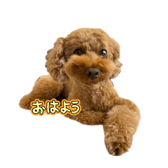 A_20260502153745