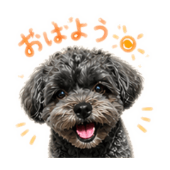 ken oonishi_20260502153423