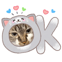 Renge_20260502155235