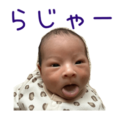 DBJR_20260502155732