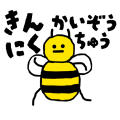 kanaan_20260502155711