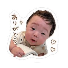shiimaru_20260502155957