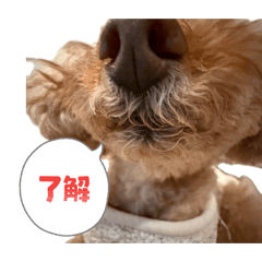 Mako_20260502162028