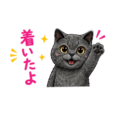 Orin_20260502163631