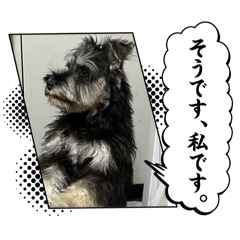 snya._20260502162415