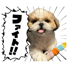 nico channel_20260502164408