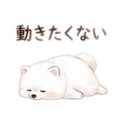mofu_20260502164045