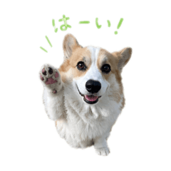 fuku_20260502165010