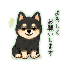PON_20260502165453
