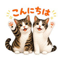 chakooo_20260502164146