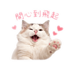 漢堡包❗️