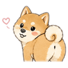 Dog x 3 Cats
