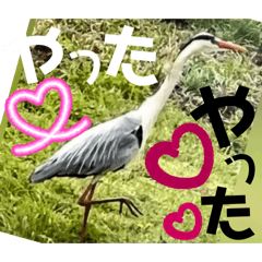 Mochioba_20260504202833