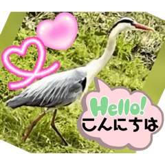 Mochioba_20260505083050
