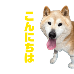 naru_20260502190617