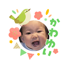 Toya_20260502172555