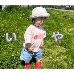 UMIS_20260430093615