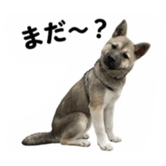 akio_20260502172304