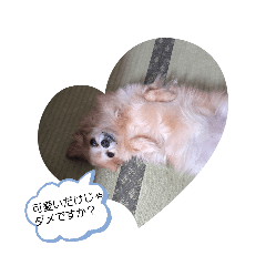 yudai_20260502193519