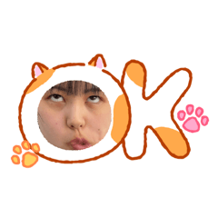 mei_20260502132252