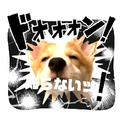 howaito_20260502194229