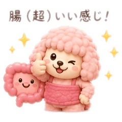 mido_20260502194448