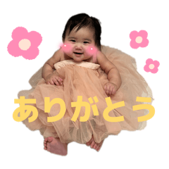 ari_20260502194018