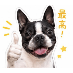 maimai_20260502194301