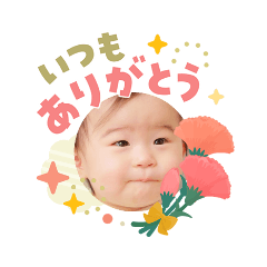 SHIO 15