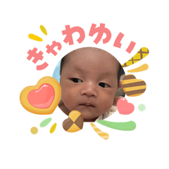 taiki228_20260503104938